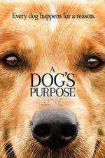 Watch A Dog's Purpose Vodly