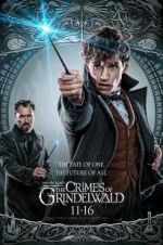 Watch Fantastic Beasts: The Crimes of Grindelwald Vodly