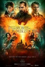 Watch Fantastic Beasts: The Secrets of Dumbledore Vodly