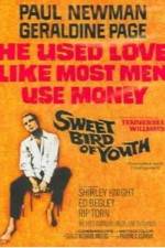 Watch Sweet Bird of Youth Vodly