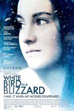 Watch White Bird in a Blizzard Vodly