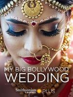 Watch My Big Bollywood Wedding Vodly