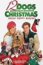 Watch 12 Dogs of Christmas Great Puppy Rescue Vodly