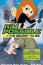 Watch "Kim Possible" Attack of the Killer Bebes 0123movies