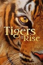 Watch Tigers on the Rise Vodly