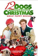 Watch 12 Dogs of Christmas: Great Puppy Rescue Vodly