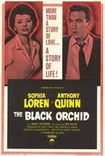 Watch The Black Orchid Vodly