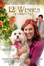 Watch 12 Wishes of Christmas Vodly