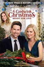 Watch A Godwink Christmas: Meant for Love Vodly