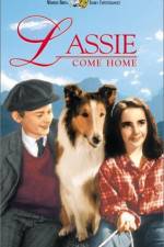Watch Lassie Come Home Vodly
