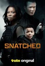 Watch Snatched Online Vodly
