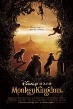 Watch Monkey Kingdom Vodly