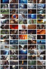 Watch The Tree of Life Vodly
