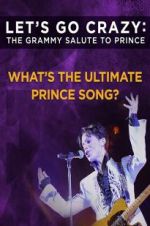Watch Let\'s Go Crazy: The Grammy Salute to Prince Vodly