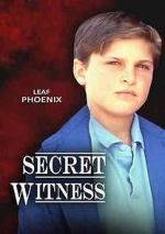 Watch Secret Witness Vodly