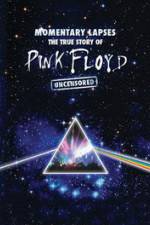 Watch Pink Floyd: Momentary Lapses - The True Story Of Pink Floyd Vodly