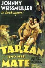 Watch Tarzan and His Mate Vodly