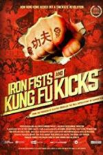 Watch Iron Fists and Kung Fu Kicks Vodly