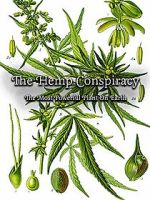 Watch The Hemp Conspiracy: The Most Powerful Plant in the World (Short 2017) Online Vodly
