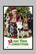Watch 12 Dog Days of Christmas Vodly