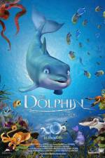 Watch The Dolphin Story of a Dreamer Vodly