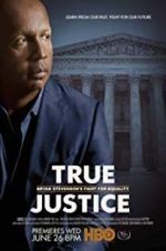 Watch True Justice: Bryan Stevenson\'s Fight for Equality Vodly