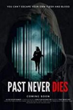 Watch The Past Never Dies Vodly