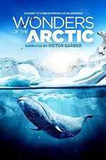 Watch Wonders of the Arctic 3D Vodly