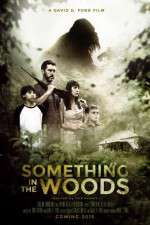 Watch Something in the Woods Online Vodly