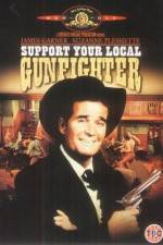 Watch Support Your Local Gunfighter Online Vodly