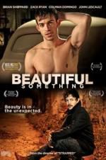 Watch Beautiful Something Vodly