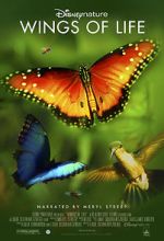 Watch Disneynature: Wings of Life Vodly