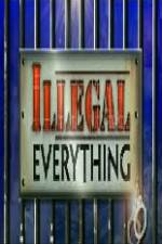 Watch Illegal Everything 2012 Vodly