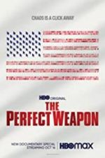 Watch The Perfect Weapon Vodly