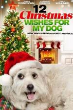 Watch 12 Christmas Wishes For My Dog Vodly