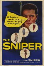 Watch The Sniper Vodly