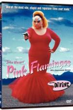 Watch Pink Flamingos Vodly