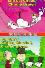 Watch Snoopy's Getting Married Charlie Brown Vodly