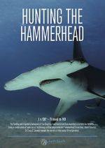 Watch Hunting the Hammerhead Online 123netflix