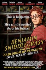 Watch Benjamin Sniddlegrass and the Cauldron of Penguins Vodly