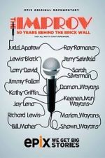 Watch The Improv: 50 Years Behind the Brick Wall (TV Special 2013) Vodly
