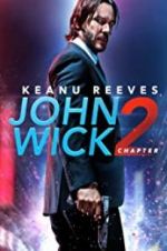 Watch John Wick Chapter 2: Wick-vizzed Vodly