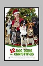 Watch 12 Dog Days Till Christmas Vodly