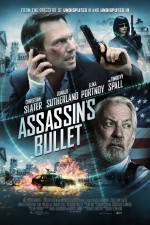 Watch Assassin's Bullet Vodly