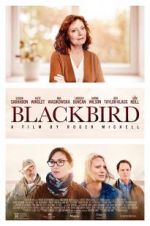Watch Blackbird Vodly
