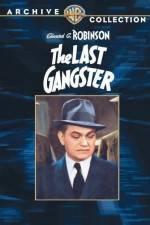 Watch The Last Gangster Vodly