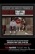 Watch Beastie Boys: Fight for Your Right Revisited Vodly