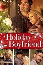 Watch A Holiday Boyfriend Vodly