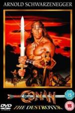 Watch Conan the Destroyer Vodly