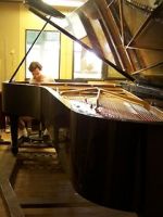 Watch Note by Note: The Making of Steinway L1037 Online Vodly